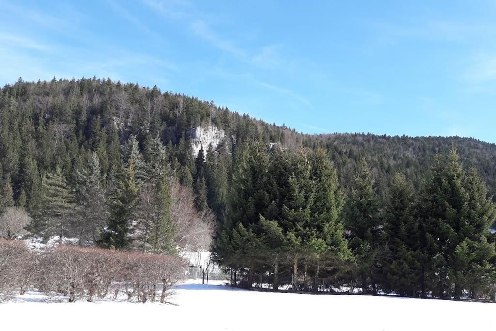 Duplex 59M2 - Proche Centre - Balcon Plein Sud Apartment Correncon-en-Vercors Exterior photo